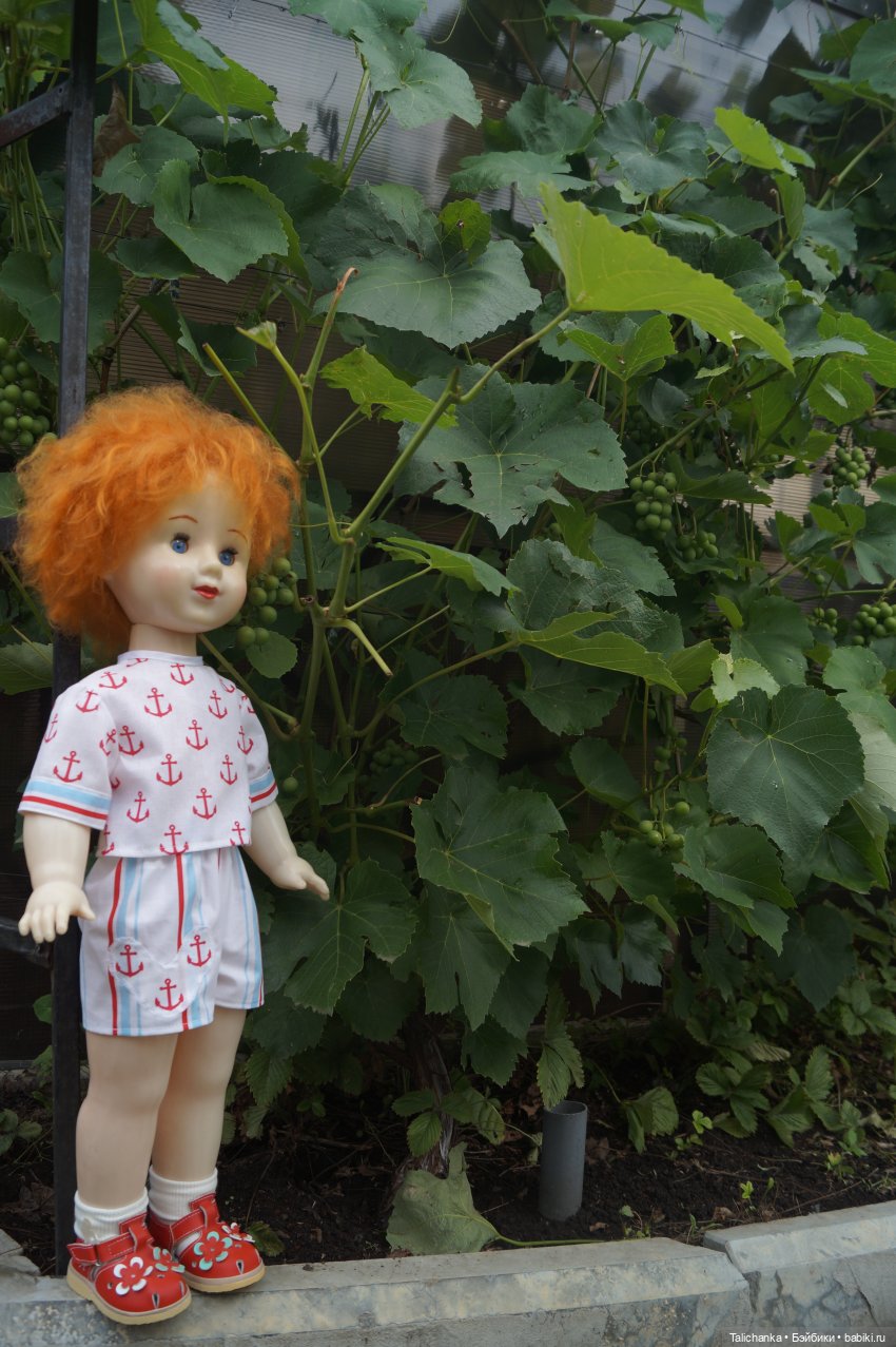 Юбилей Василисы Два новых наряда