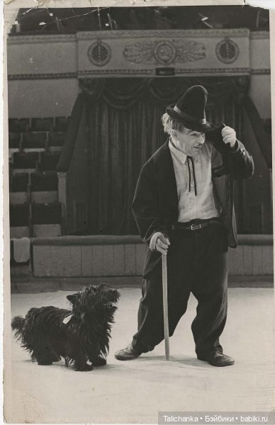 Первая выписка августа Паяю шейное крепление белого медведя и оторванный диск Ленигрушки Ремонт мебели и детской переноски