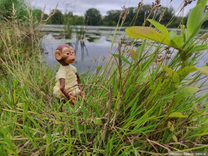 Отпуск, поездка к подруге, прогулки и куклы (фото 4)