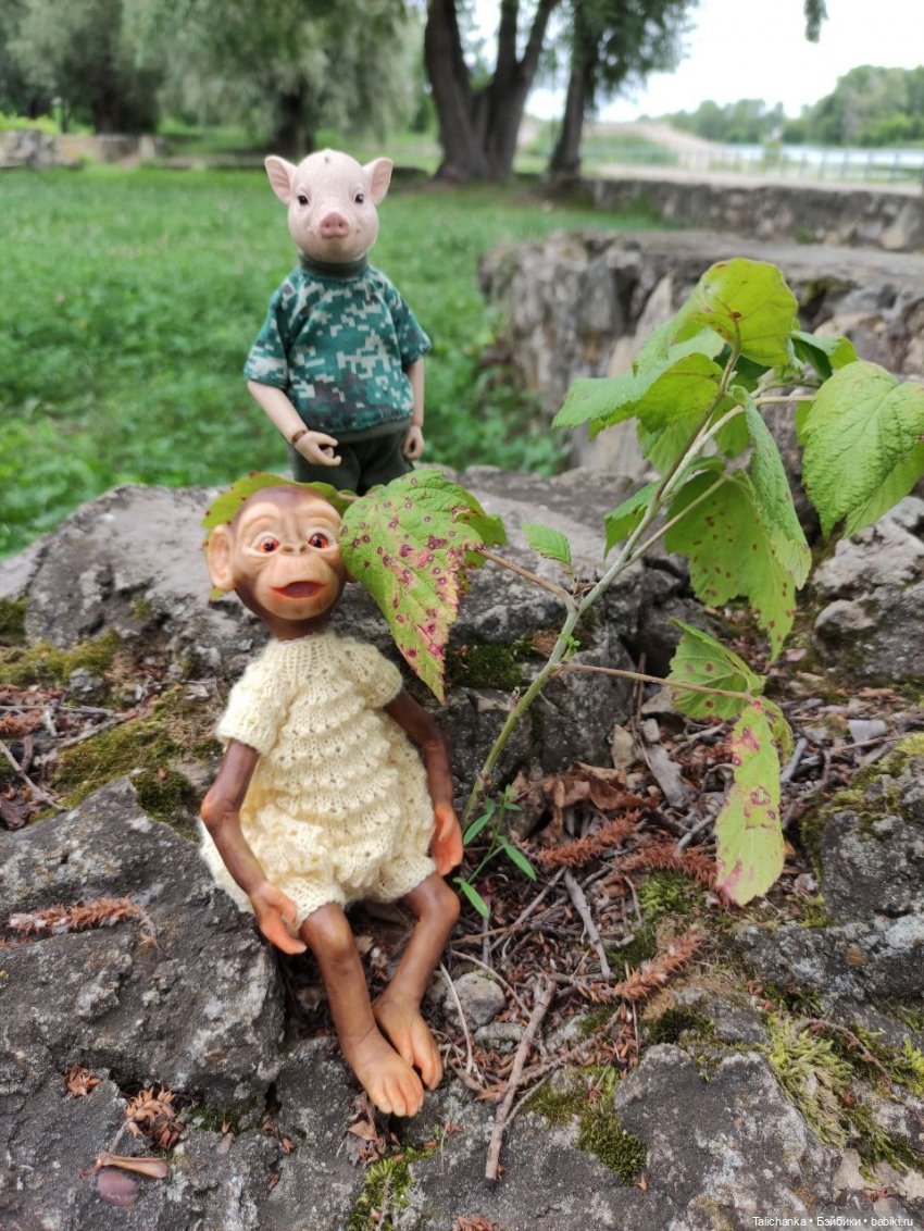 Отпуск, поездка к подруге, прогулки и куклы (фото 7)