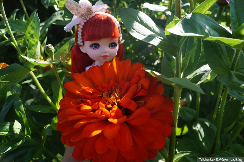 Летняя прогулка Алисы. Август (фото 5)