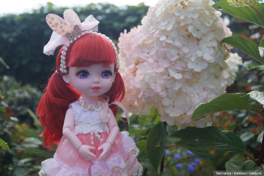 Летняя прогулка Алисы. Август (фото 7)