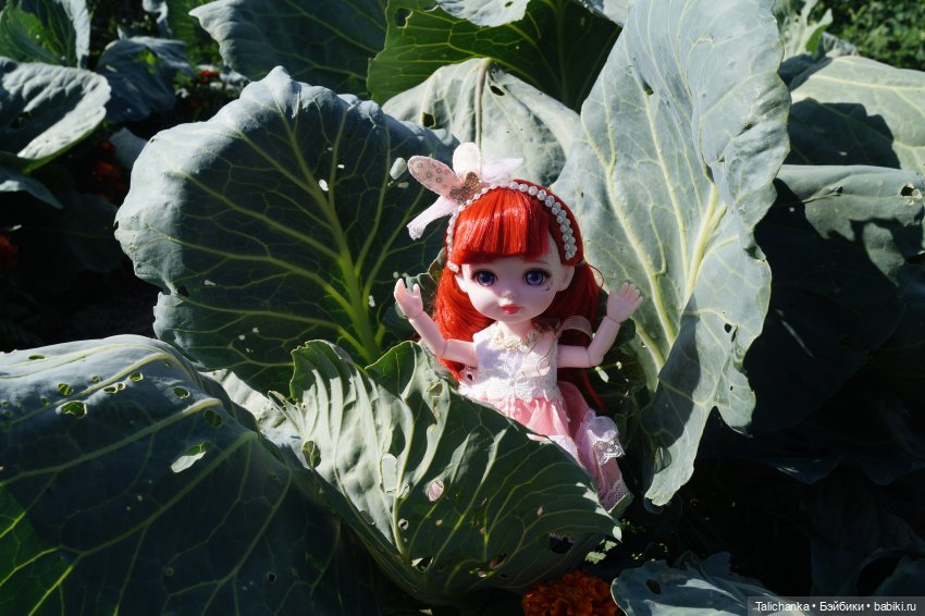 Летняя прогулка Алисы. Август (фото 6)