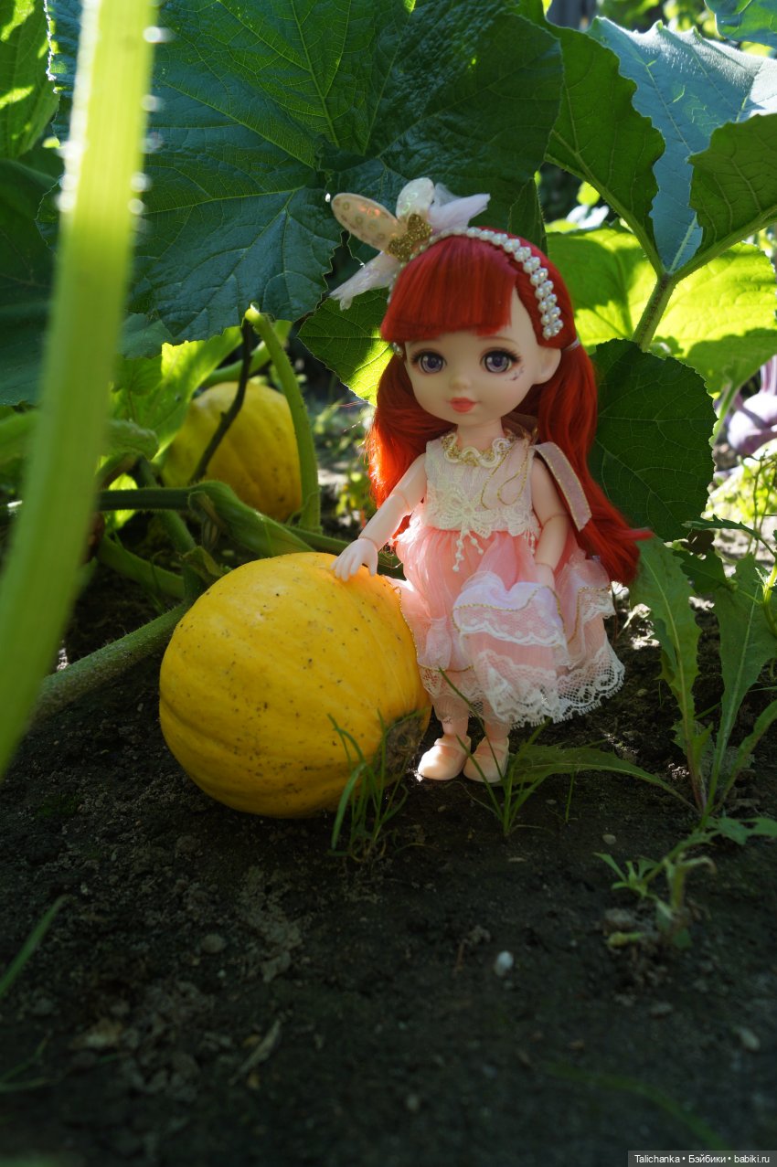 Летняя прогулка Алисы. Август (фото 9)