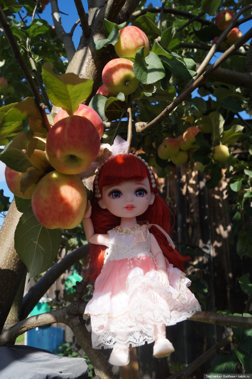 Летняя прогулка Алисы. Август (фото 4)