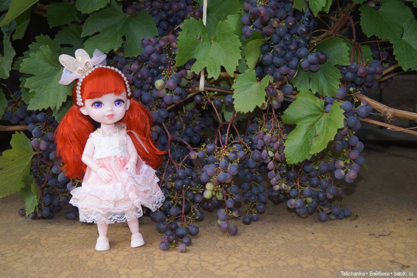 Летняя прогулка Алисы. Август