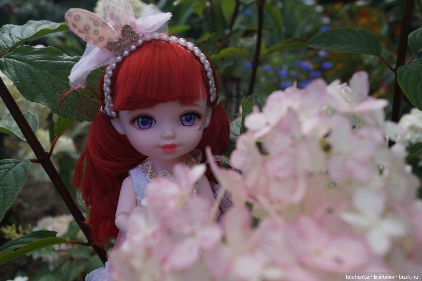 Летняя прогулка Алисы. Август (фото 8)