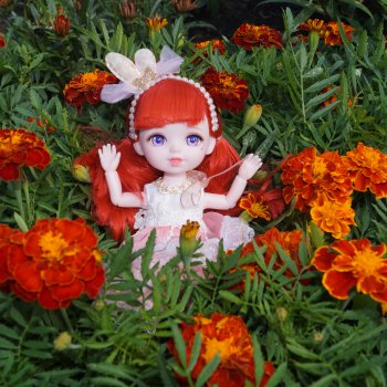 Летняя прогулка Алисы. Август.