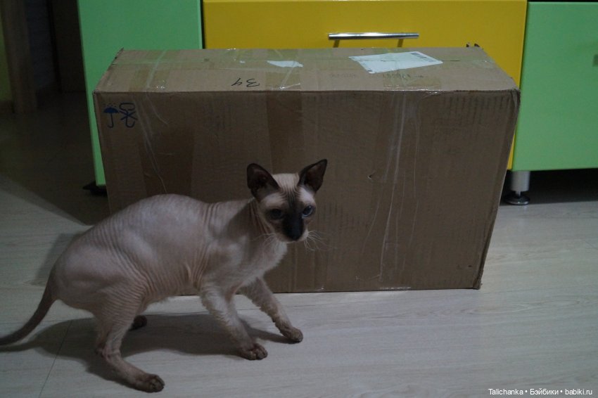 Новогодние распаковки — Российские куклы Весна