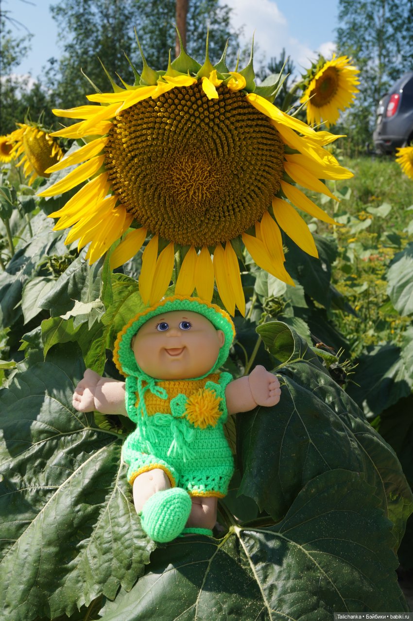 Такое капустное лето ;) — Cabbage Patch Kids dolls