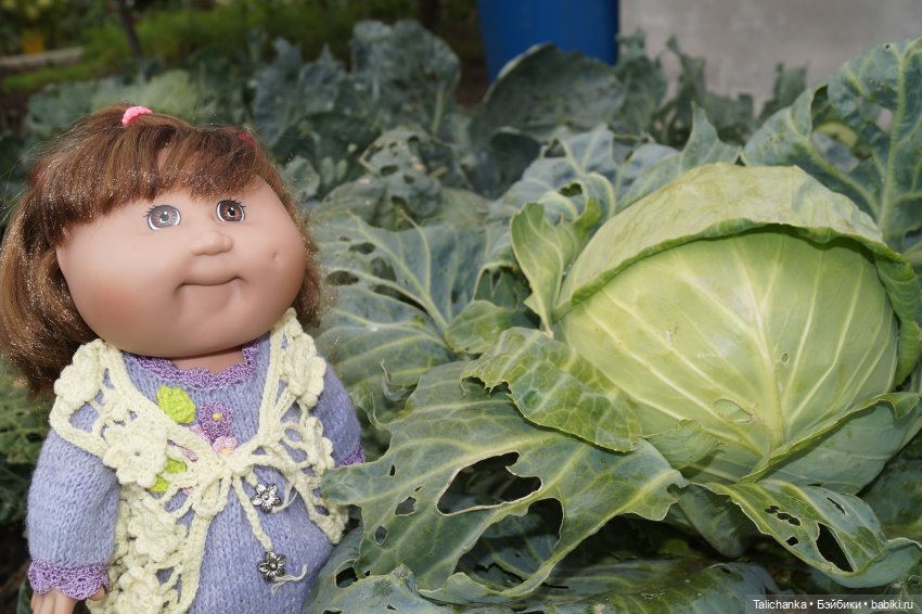 Такое капустное лето ;) — Cabbage Patch Kids dolls