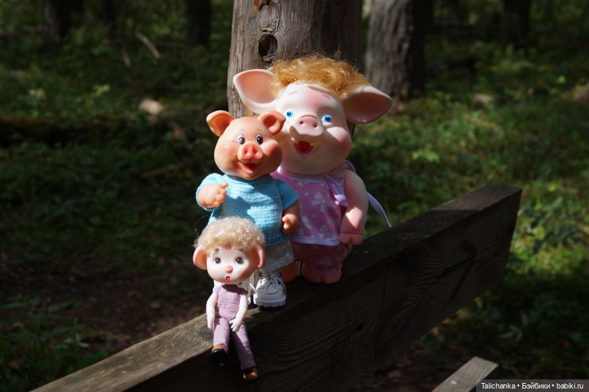 Встреча с друзьями) — Прочие игровые куклы для девочек (фото 5)