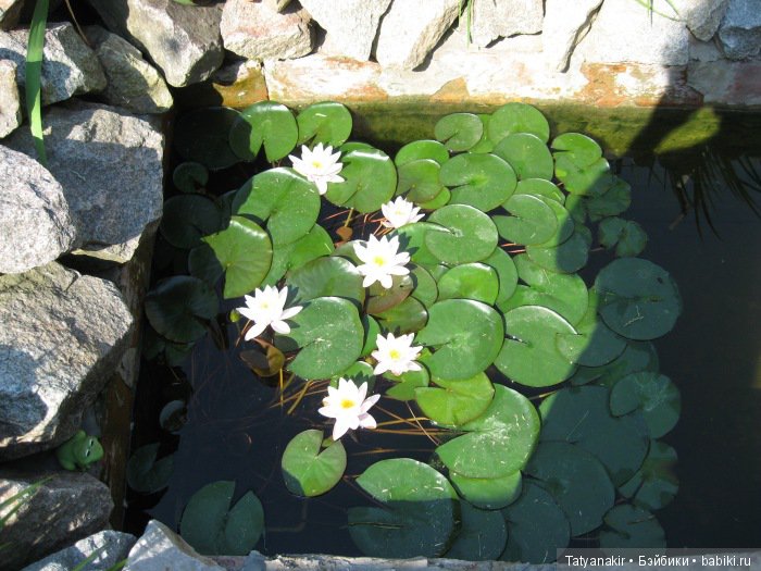 Любимица Лиззи. Шарнирная кукла СССР ПО"Вятка", Кирово-Чепецкий филиал