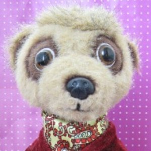 Британские сурикаты с русскими корнями