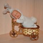 Сплюшки в корзинке. Малыши от Anne Geddes