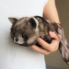 Котосумочка на молнии