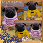 Мопсы, мопсики, мопсяшки. Вязанные игрушки крючком