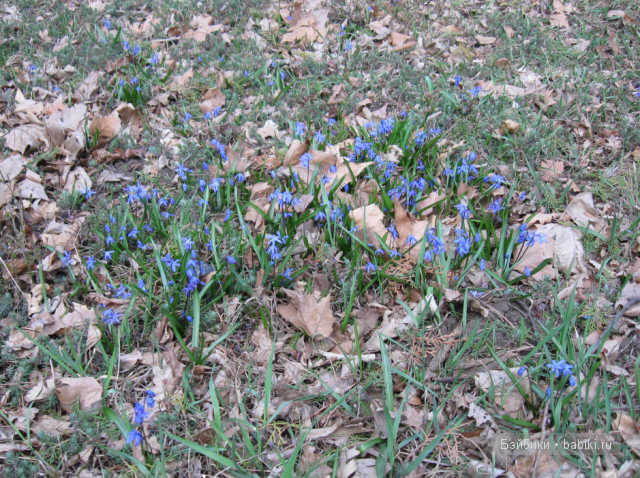 Где-то здесь...