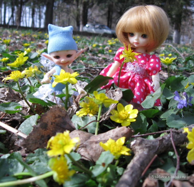 Солнышко на полянке!