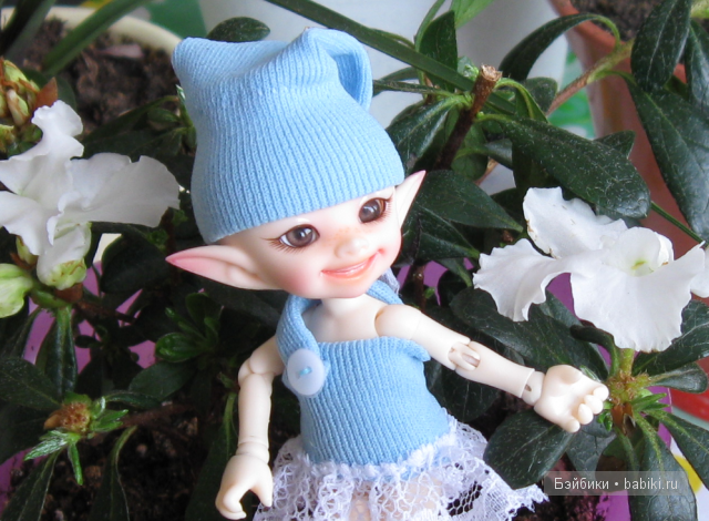 Привет, азалия! Молчит...