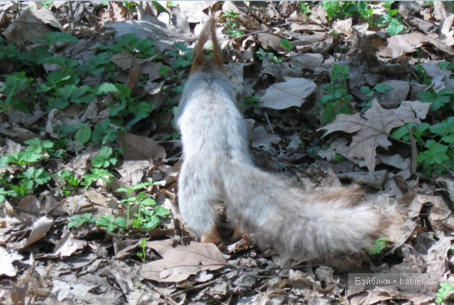 Лучше бы я подсматривал!