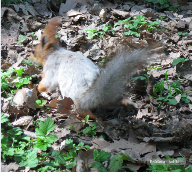 Ах, вот оно что!