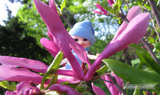 Нет, не тут!