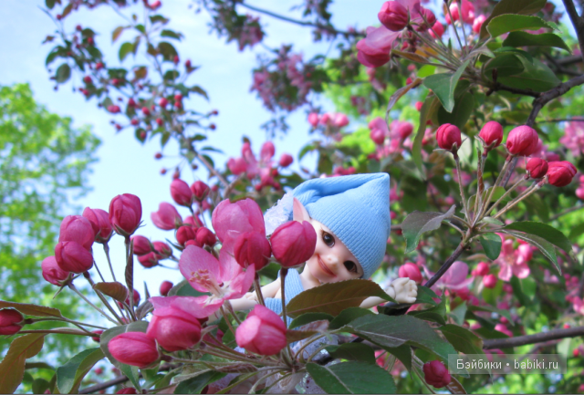 Она уже перепряталась!