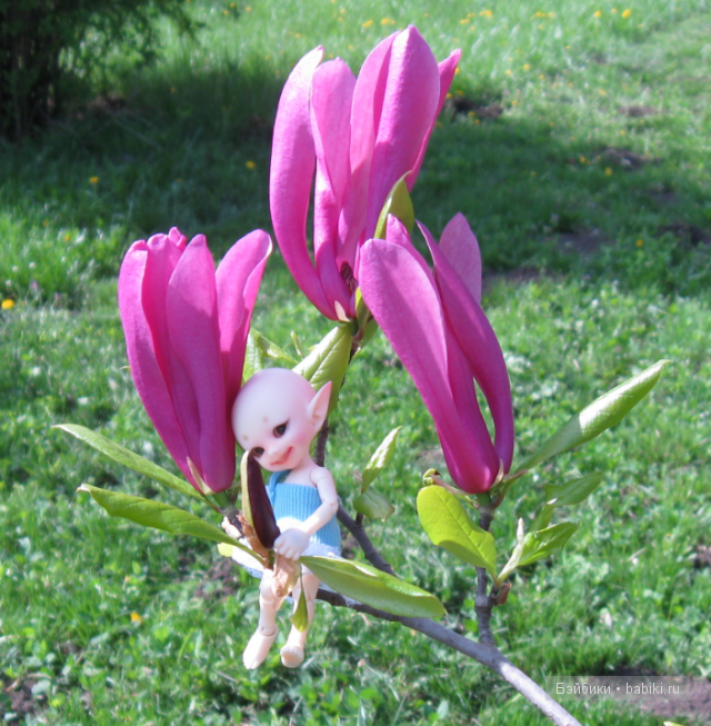 Я иду искать — Куклы Fairyland (ФэйриЛэнд): BJD (БЖД)