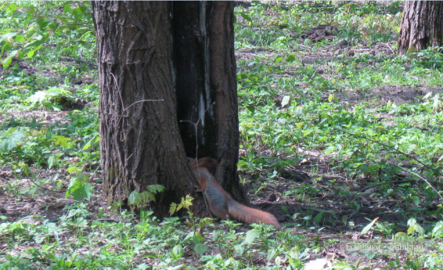 Кажется, тут...