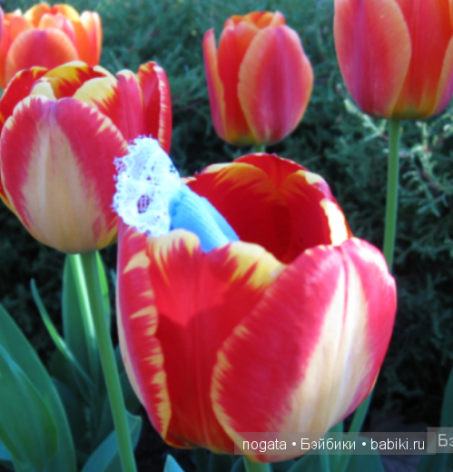 Чудеса? Конечно бывают — Куклы Fairyland (ФэйриЛэнд): BJD (БЖД)