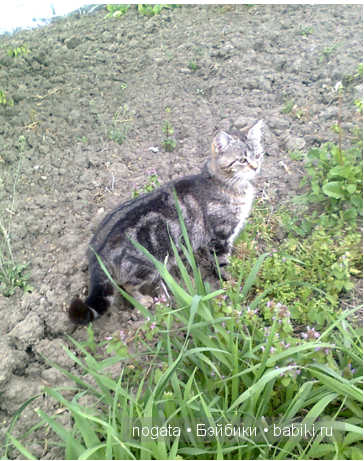 Рыболовы — Туризм и путешествия: фотоотчеты из поездок (фото 7)