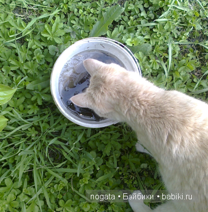 Рыболовы — Туризм и путешествия: фотоотчеты из поездок