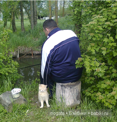 Рыболовы — Туризм и путешествия: фотоотчеты из поездок