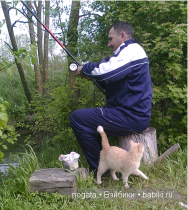 Рыболовы — Туризм и путешествия: фотоотчеты из поездок (фото 9)