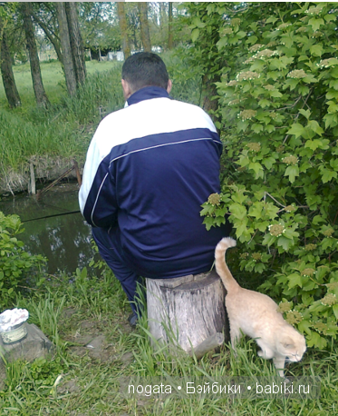 Рыболовы — Туризм и путешествия: фотоотчеты из поездок (фото 6)