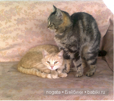 Рыболовы — Туризм и путешествия: фотоотчеты из поездок (фото 3)