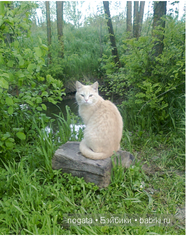 Рыболовы — Туризм и путешествия: фотоотчеты из поездок (фото 5)