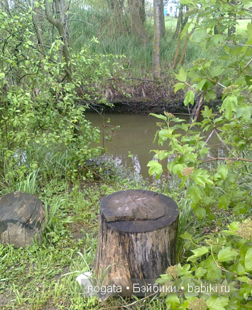 Рыболовы — Туризм и путешествия: фотоотчеты из поездок (фото 4)