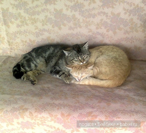 Рыболовы — Туризм и путешествия: фотоотчеты из поездок (фото 2)