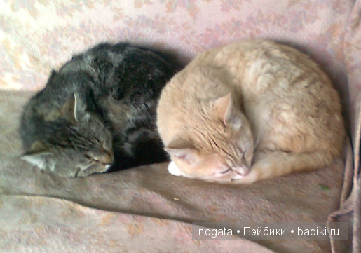 Рыболовы — Туризм и путешествия: фотоотчеты из поездок