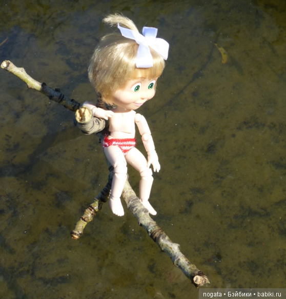 О синих стрекозах и не только