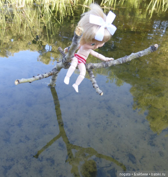 О синих стрекозах и не только