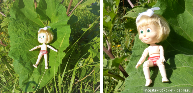 О синих стрекозах и не только