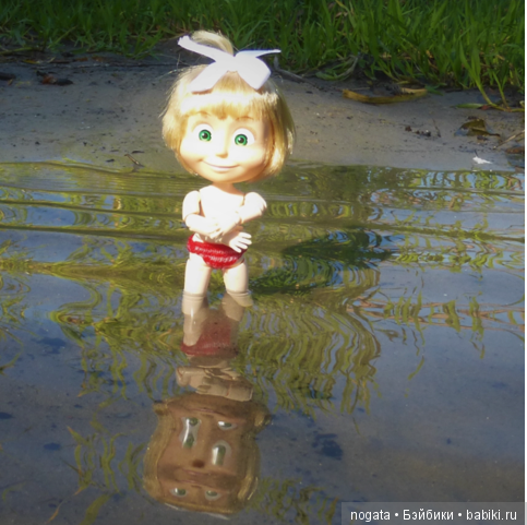 О синих стрекозах и не только