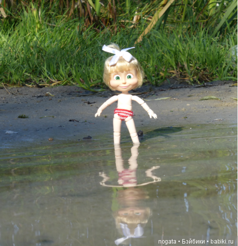 О синих стрекозах и не только