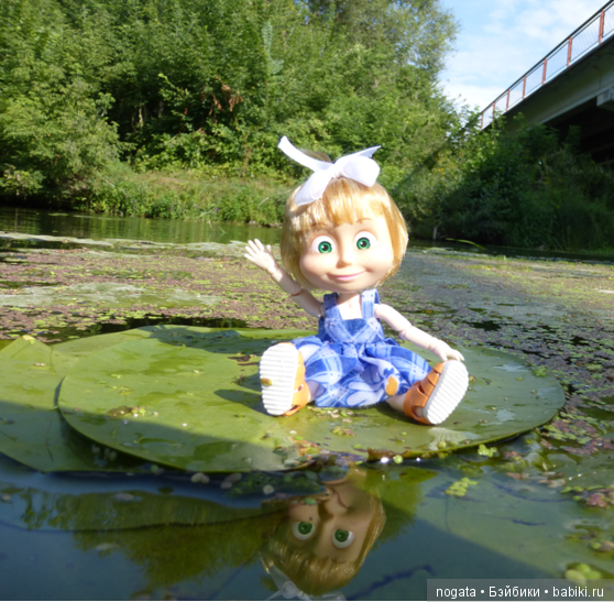 О синих стрекозах и не только