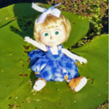 О синих стрекозах и не только