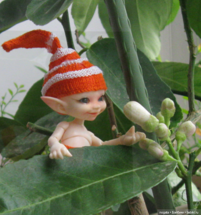 Как Изюмка был ботаником | Бэйбики Как Изюмка был ботаником — Куклы Fairyland (ФэйриЛэнд): BJD (БЖД) (фото 4)