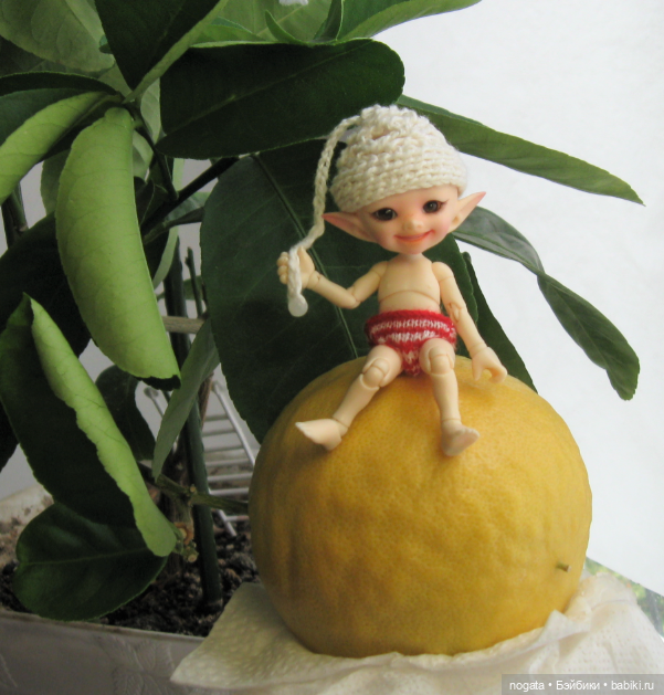 Как Изюмка был ботаником | Бэйбики Как Изюмка был ботаником — Куклы Fairyland (ФэйриЛэнд): BJD (БЖД)